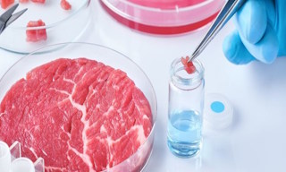 Лабораторный анализ пищевых продуктов по СанПиН в Астрахани в октябре